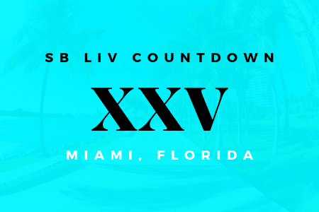 Countdown to 2020 Super Bowl LIV Miami: Super Bowl XXV - Superbowl Tickets
